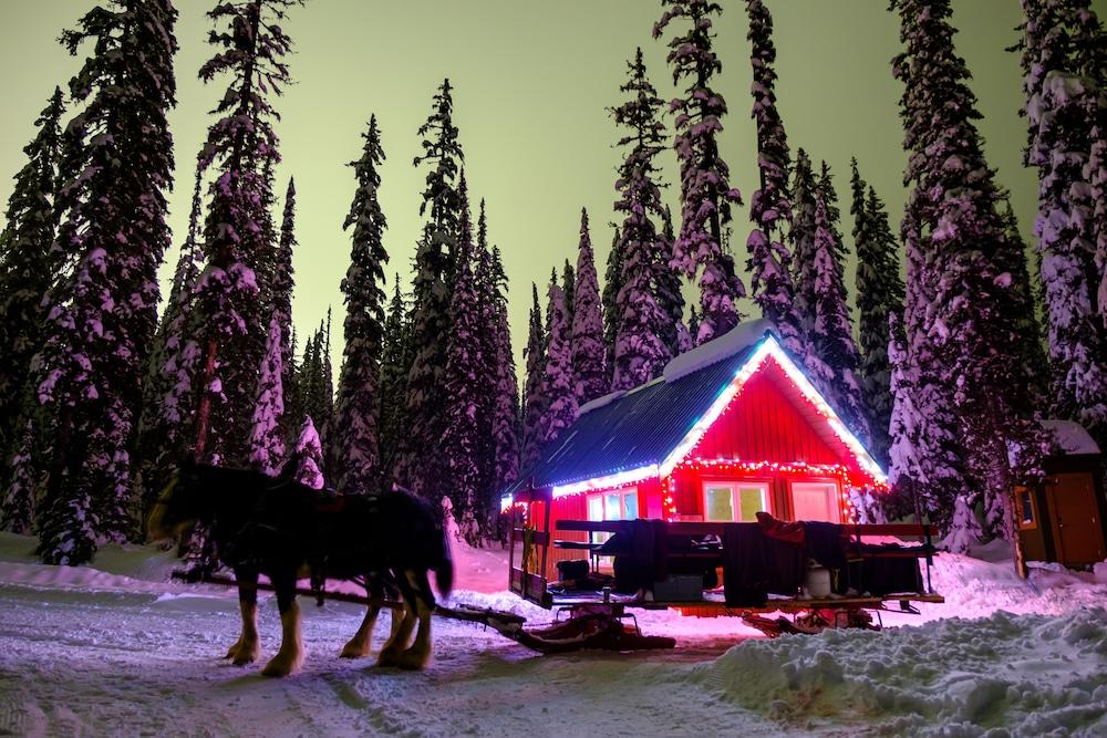Sundance Resort Big White المظهر الخارجي الصورة